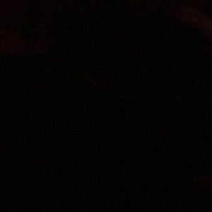 Meet your Posher, Bryan